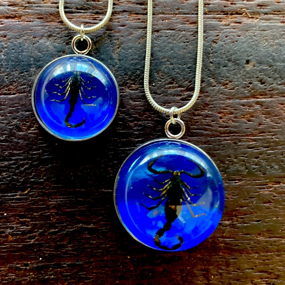 Real Scorpion Resin Necklace Pendant Goth Taxidermy Cobalt Blue Small or Medium